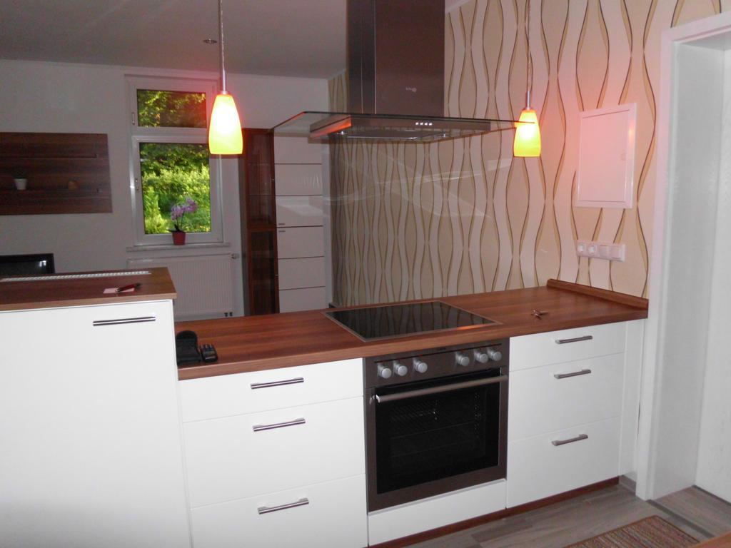 Apartment Leucht Ziegenrück Екстериор снимка